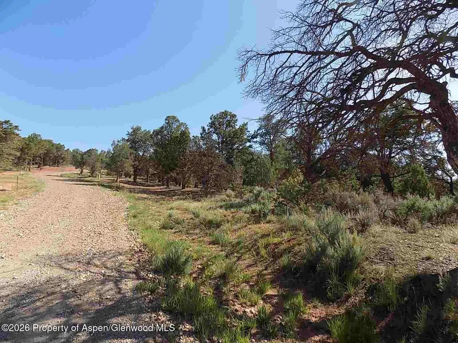 Tbd County Road 107, Carbondale, CO 81623 - #3