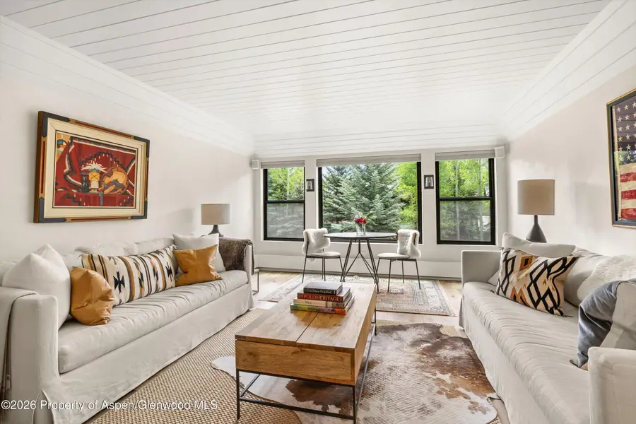 941 Vine Street, Aspen, CO 81611 - #2