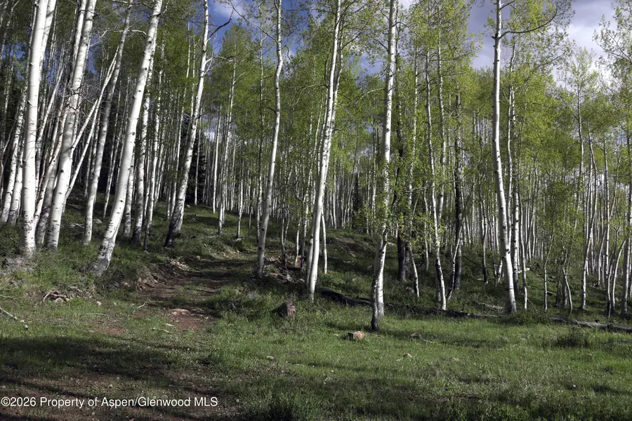 Tbd Ms Road, Glade Park, CO 81523 - #3