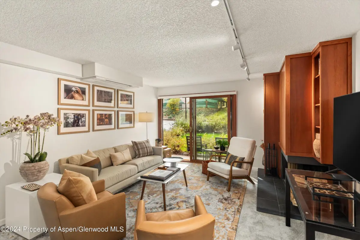 205 E Durant Avenue #1-C, Aspen, CO 81611 - #1