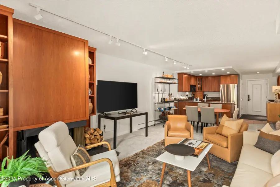 205 E Durant Avenue #1-C, Aspen, CO 81611 - #3