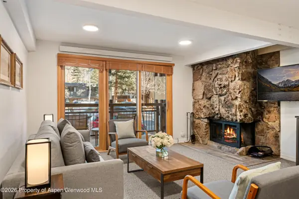 131 E Durant Avenue #104, Aspen, CO 81611