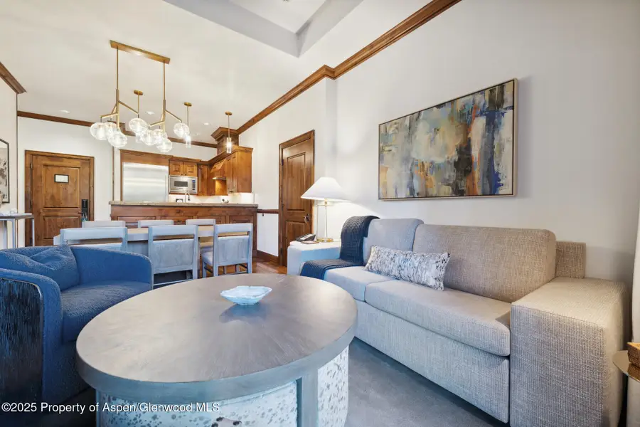 415 E Dean St, Unit 2, Week 31, Aspen, CO 81611 - #3