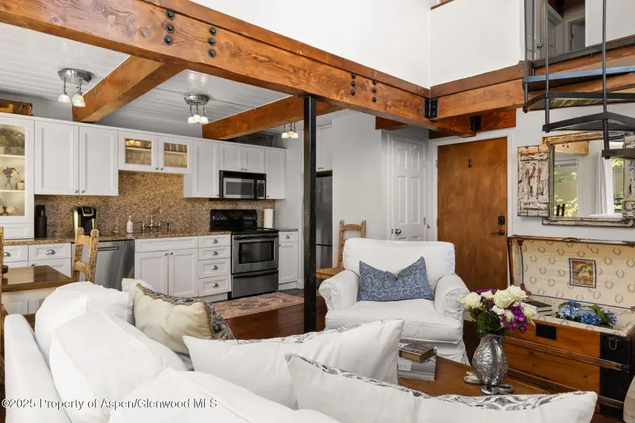 1024 E Cooper Avenue #8, Aspen, CO 81611 - #2