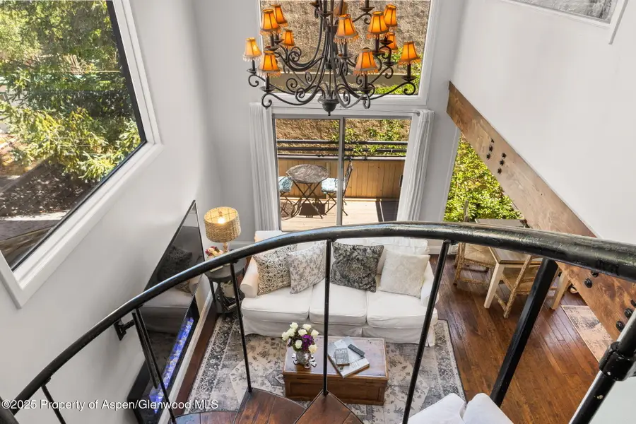 1024 E Cooper Avenue #8, Aspen, CO 81611 - #3