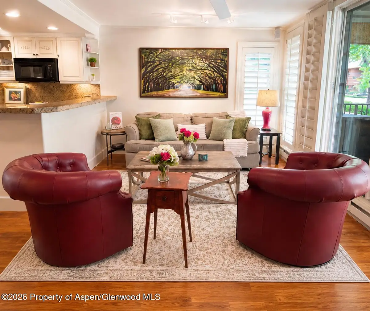 800 E Hopkins Avenue #A-1, Aspen, CO 81611 - #1