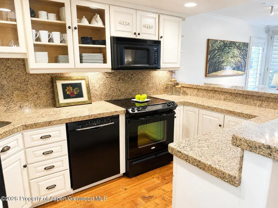 800 E Hopkins Avenue #A-1, Aspen, CO 81611 - #3