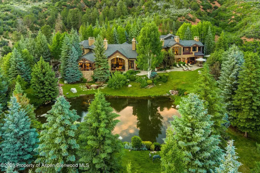 120 Running Mare Road, Woody Creek, CO 81656 - #2