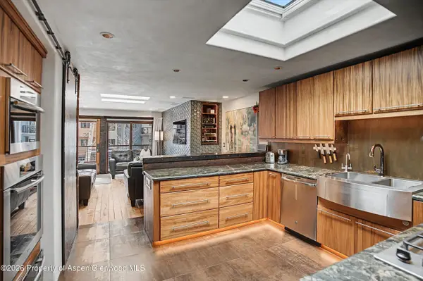 100 E Dean Street #3c, Aspen, CO 81611