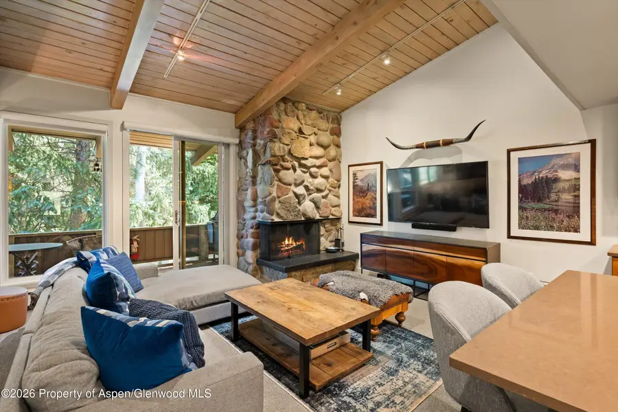 700 Ute Avenue #213, Aspen, CO 81611 - #2