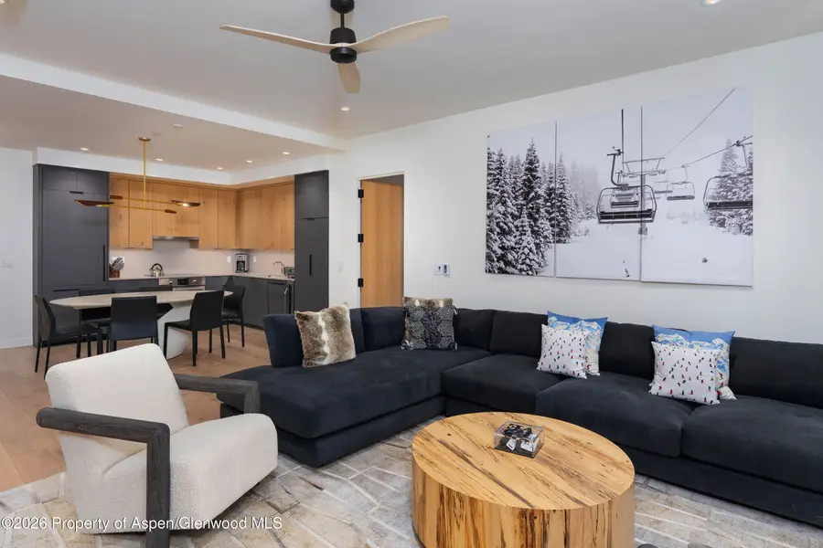 119 Wood Road #503, Snowmass Village, CO 81615 - #2