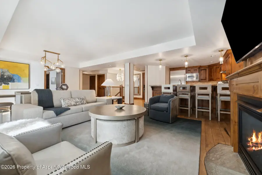 415 E Dean St, Unit 42, Wks 26 & 27, Aspen, CO 81611 - #2