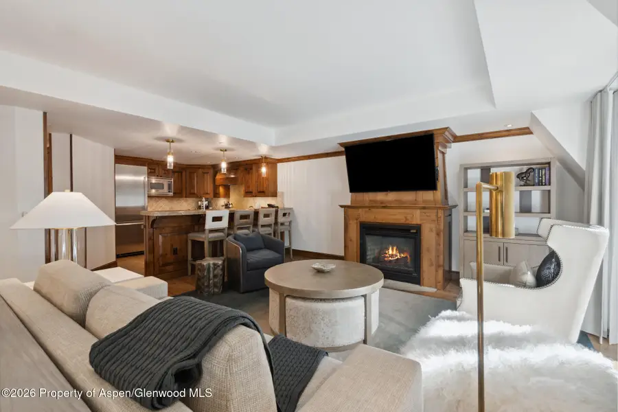 415 E Dean St, Unit 42, Wks 26 & 27, Aspen, CO 81611 - #3