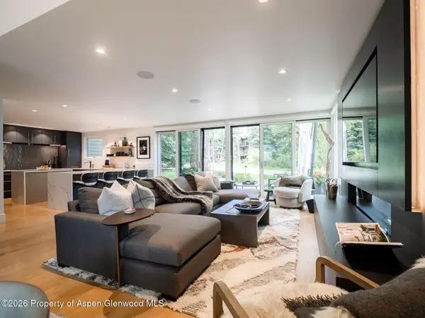 314 N Riverside Avenue #2, Aspen, CO 81611