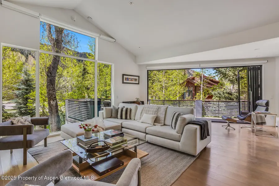 100 Park Avenue, Aspen, CO 81611 - #3