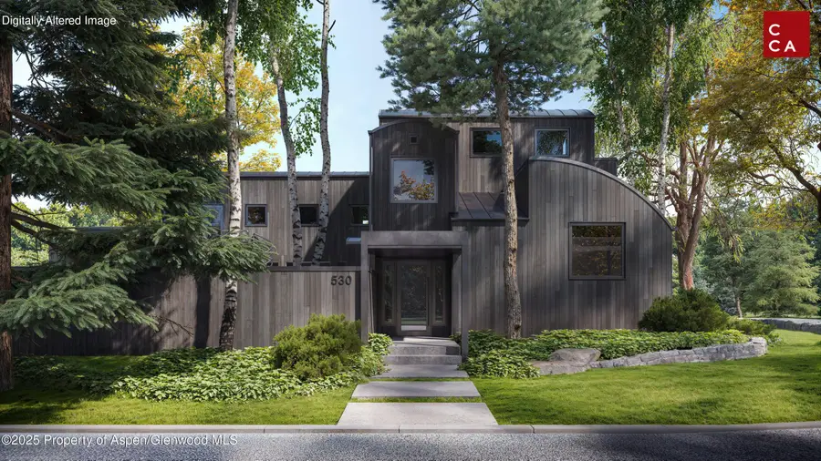 530 W Francis Street, Aspen, CO 81611 - #3