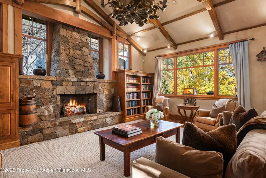 660 S Galena Street, Aspen, CO 81611 - #3