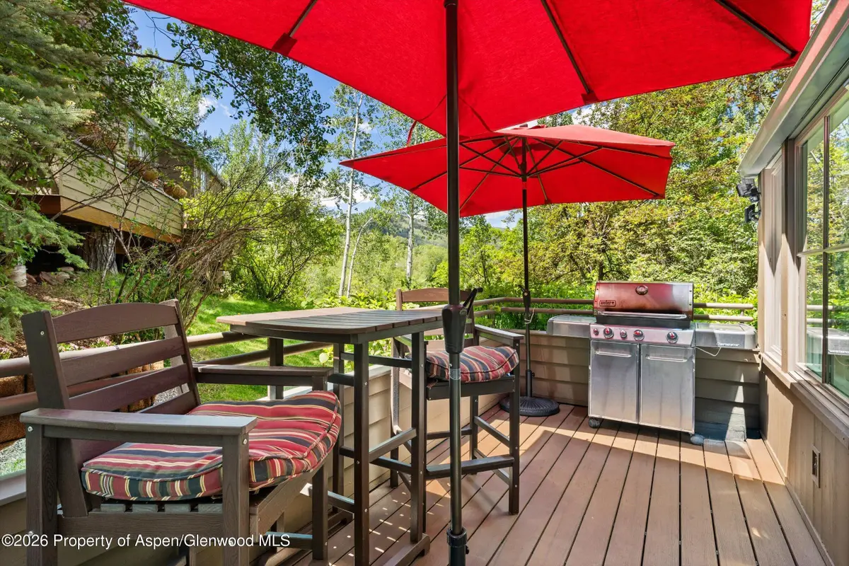 100 N 8th Street #19, Aspen, CO 81611 - #1