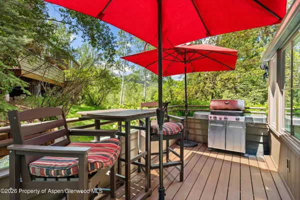 100 N 8th Street #19, Aspen, CO 81611