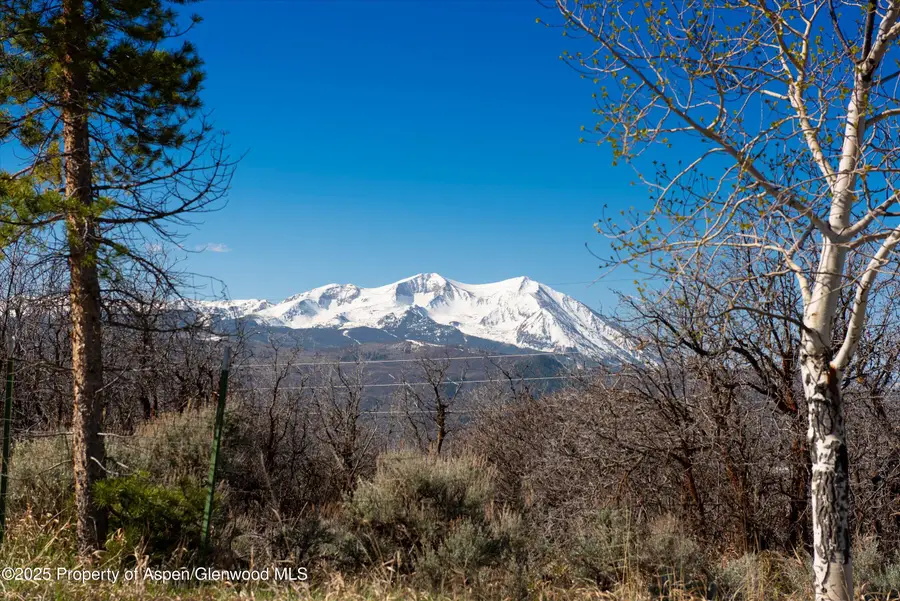 81 Mountain View Road, Carbondale, CO 81623 - #3