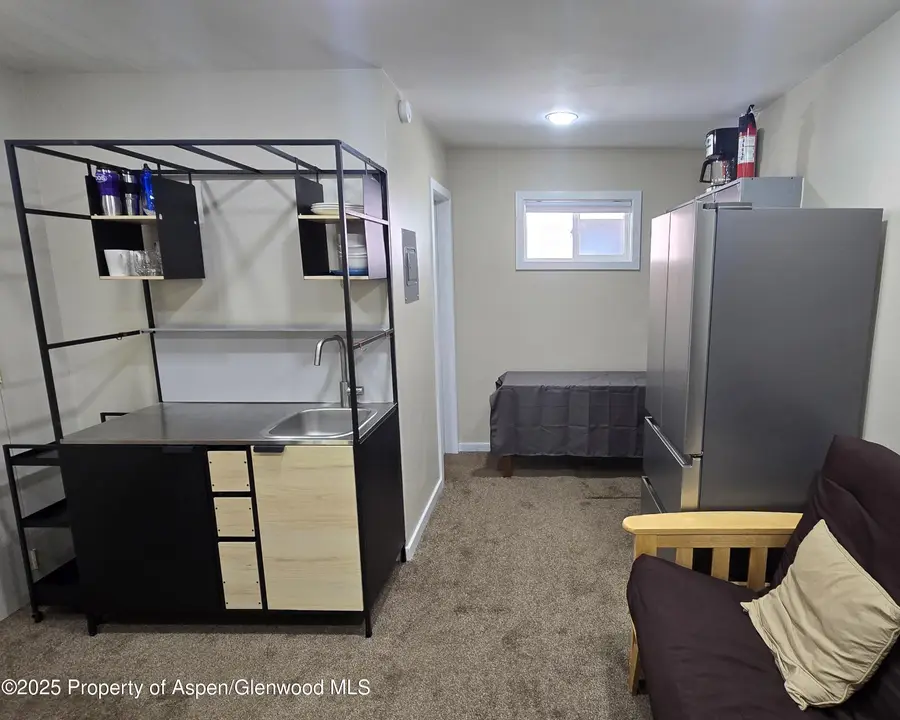 175 Midland Avenue #4, Basalt, CO 81621 - #3