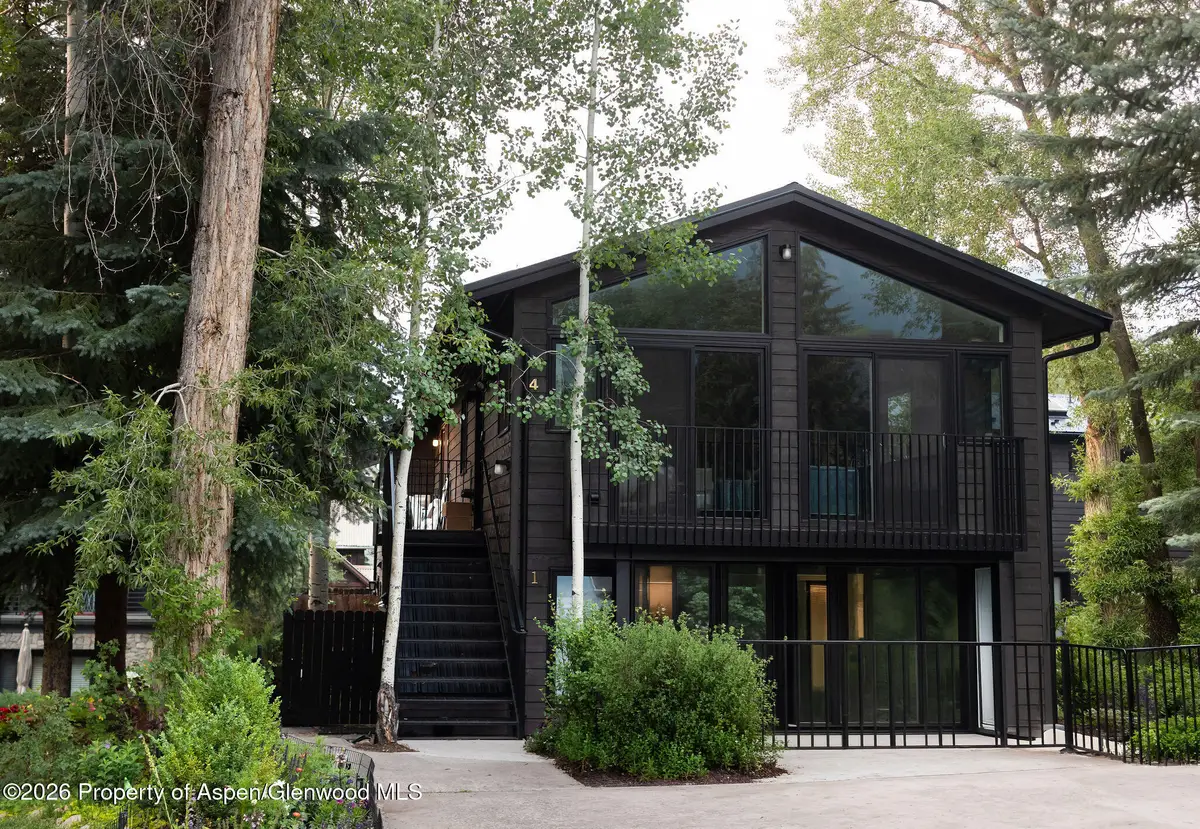 950 E Durant Avenue #4, Aspen, CO 81611 - #1