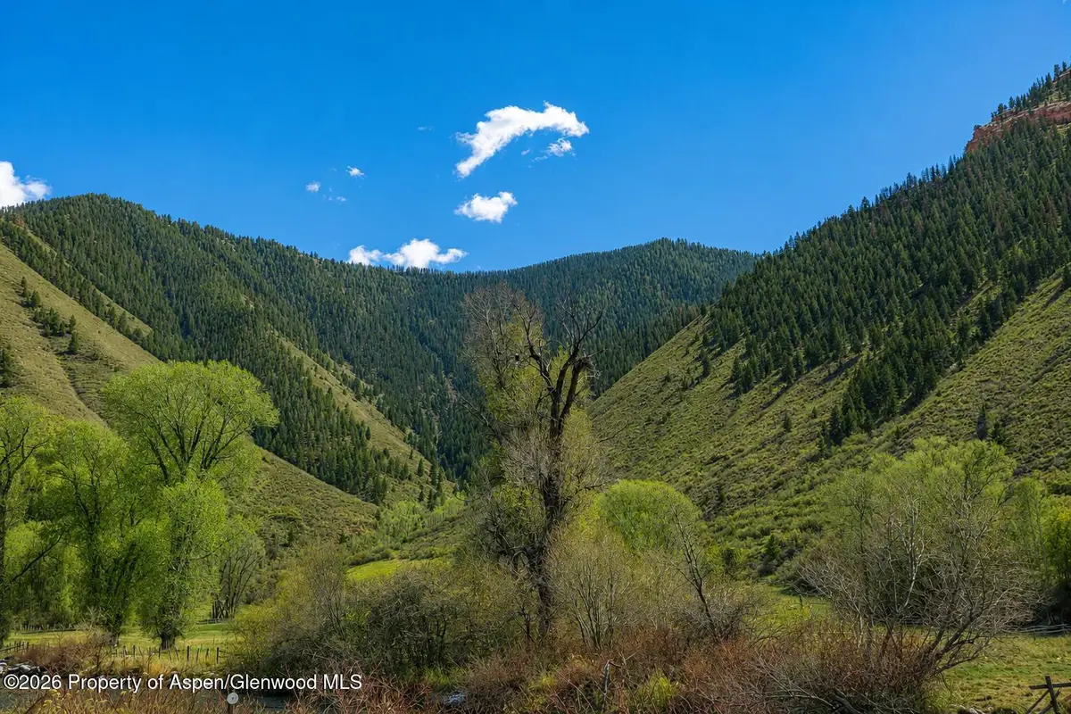 123 Wapiti Way, Basalt, CO 81621 - #1