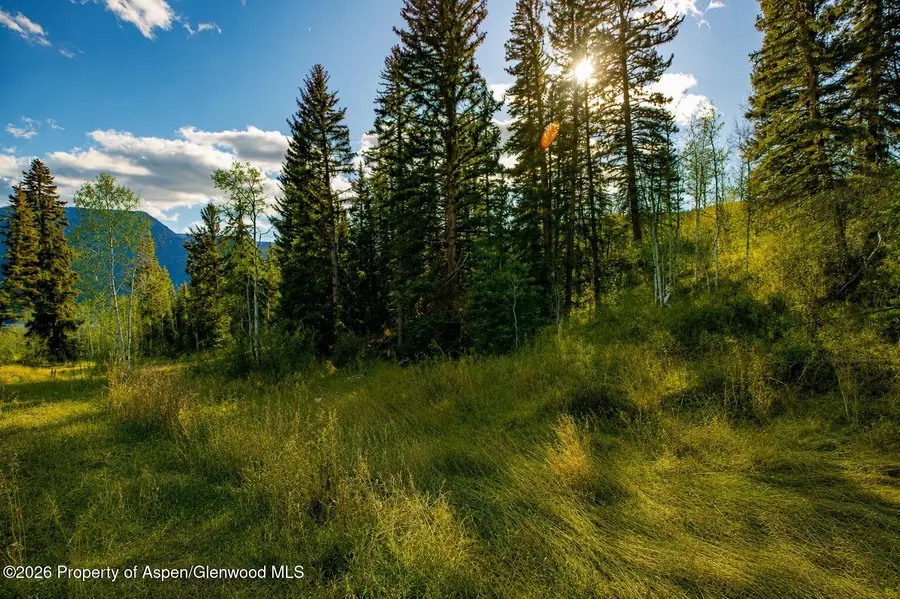 123 Wapiti Way, Basalt, CO 81621 - #2