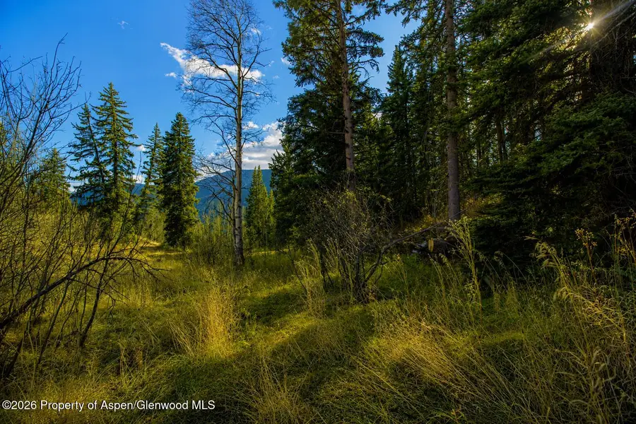 123 Wapiti Way, Basalt, CO 81621 - #3