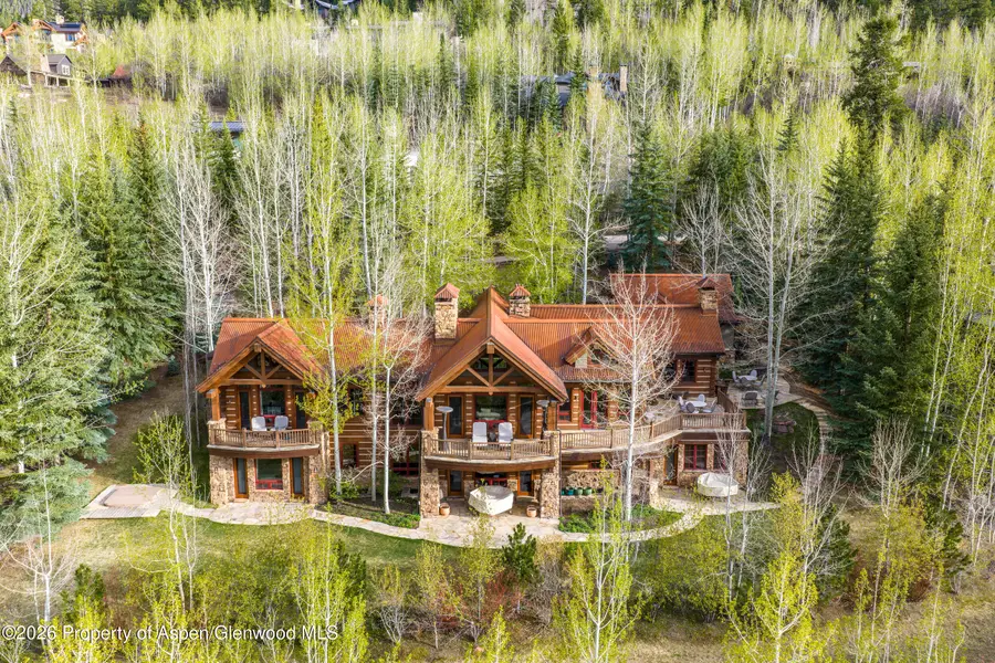 56 Five Trees Lane, Aspen, CO 81611 - #2