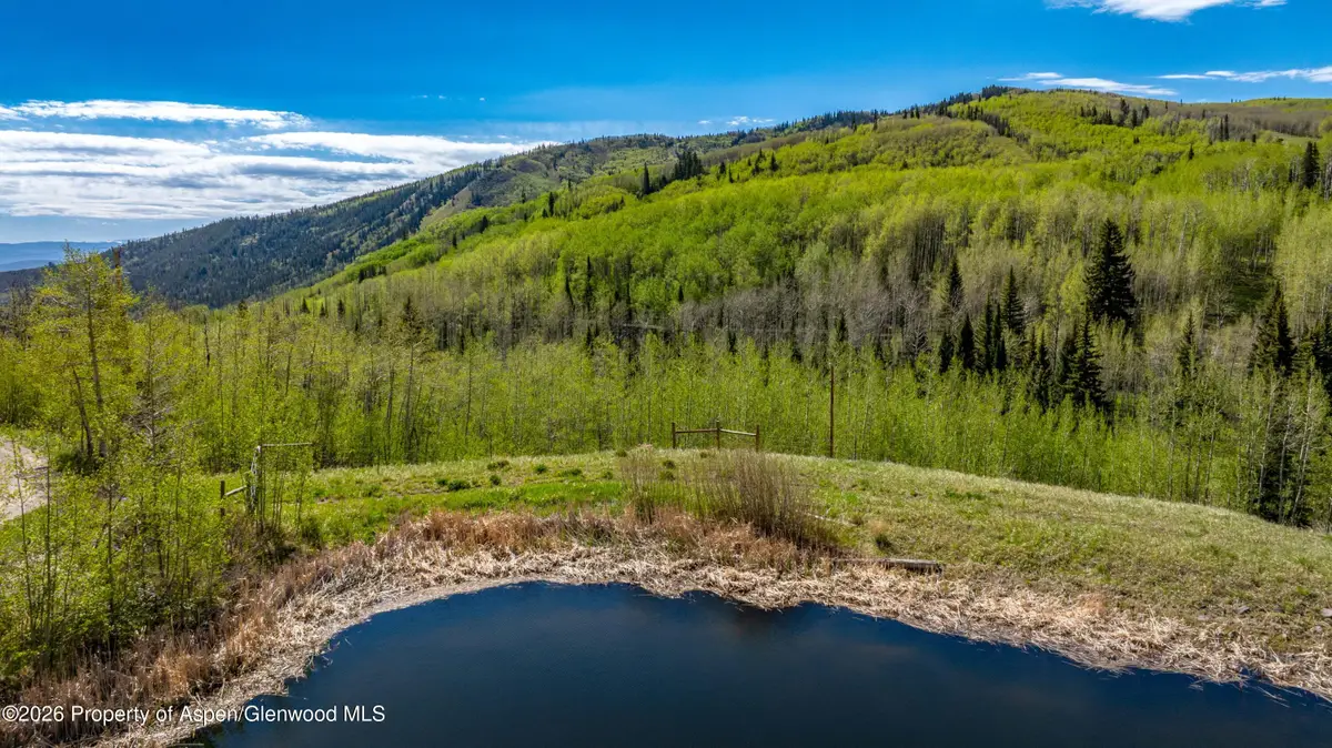 Tbd Forest Service Road 300 #Pond, Glenwood Springs, CO 81601 - #1