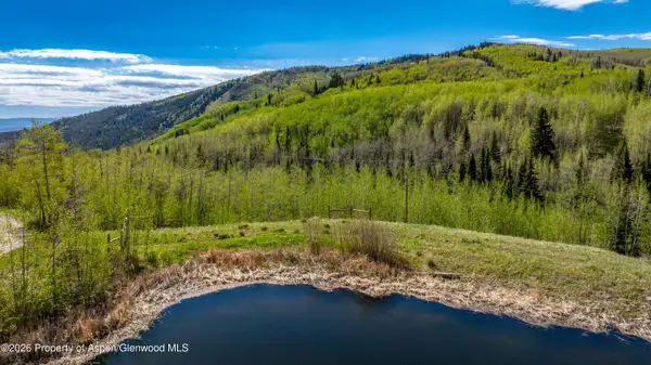 Tbd Forest Service Road 300 #Pond, Glenwood Springs, CO 81601