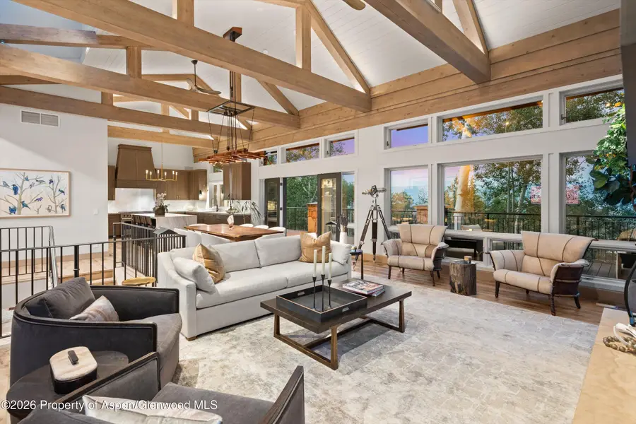 45 Ermine Lane, Snowmass Village, CO 81615 - #3