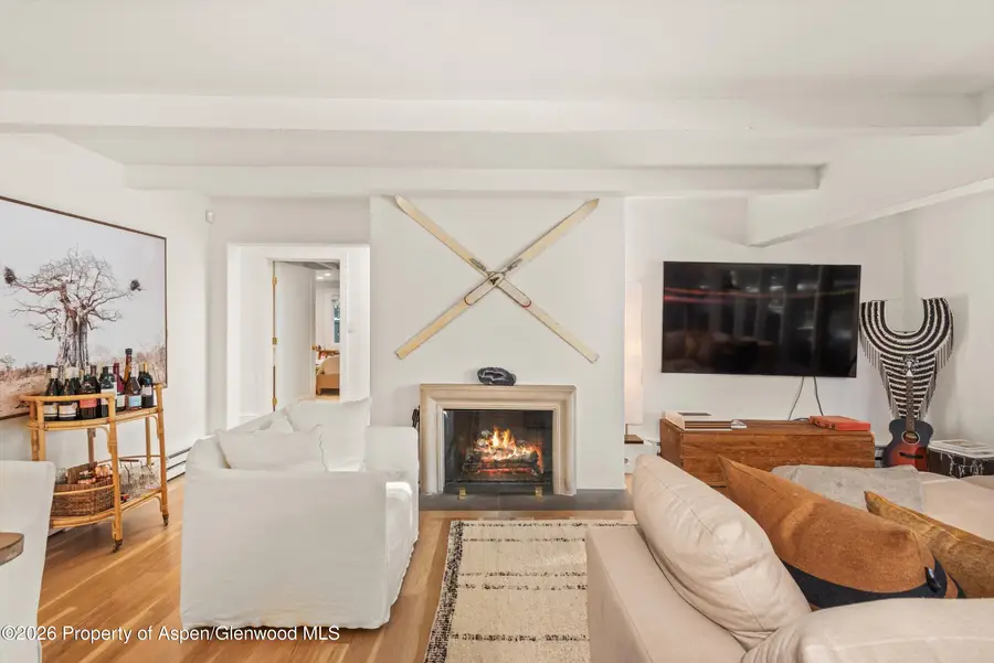 980 Cemetery Lane, Aspen, CO 81611 - #3