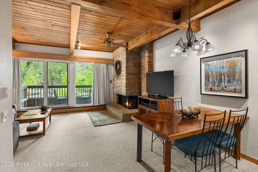 610 S West End Street #J204, Aspen, CO 81611 - #2