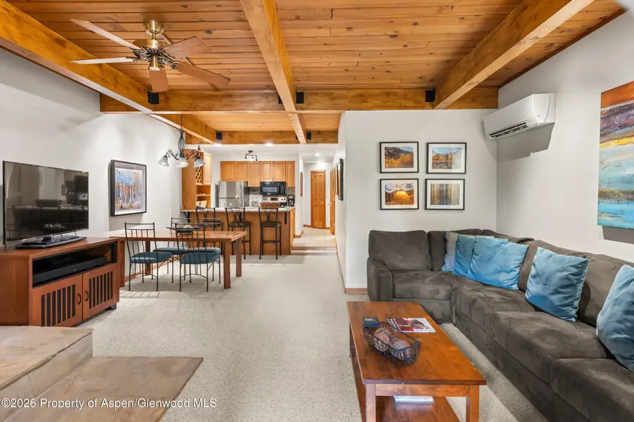 610 S West End Street #J204, Aspen, CO 81611 - #3