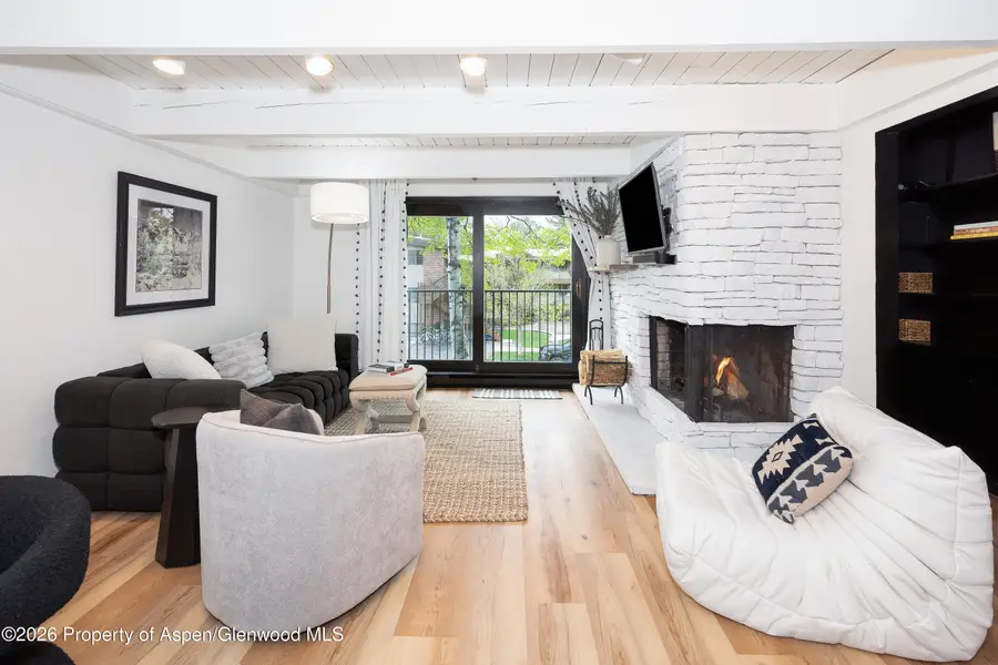 901 E Hyman Avenue #4, Aspen, CO 81611 - #2
