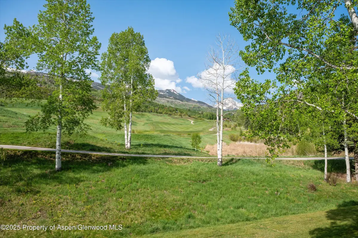 294 Snowmass Club Circle #1205, Snowmass Village, CO 81615 - #1