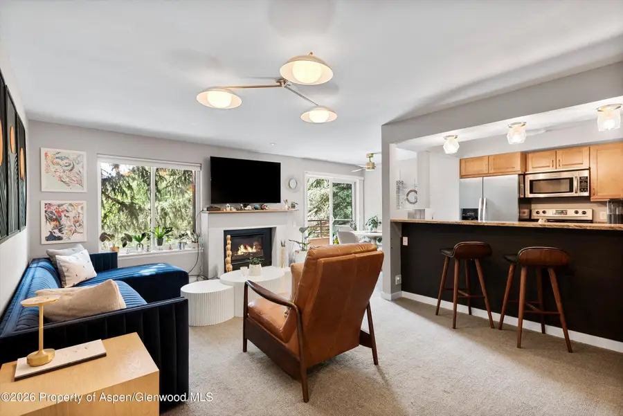 35 Lower Woodbridge Road #U175, Snowmass Village, CO 81615 - #2