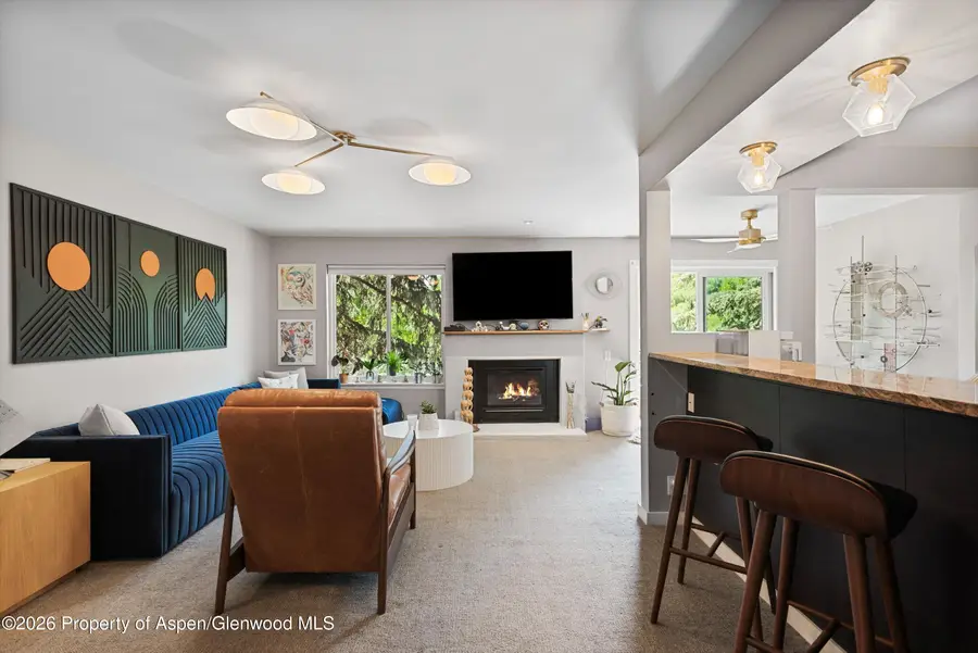 35 Lower Woodbridge Road #U175, Snowmass Village, CO 81615 - #3