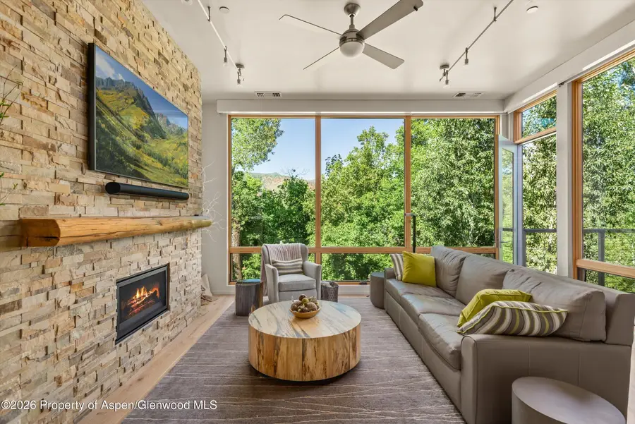 101 Willits Way #205, Basalt, CO 81621 - #2