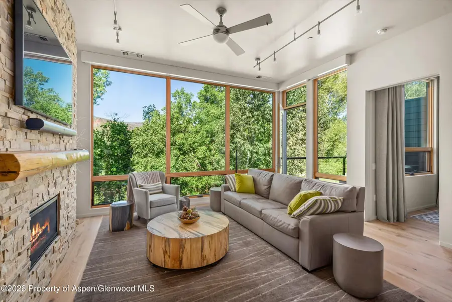 101 Willits Way #205, Basalt, CO 81621 - #3
