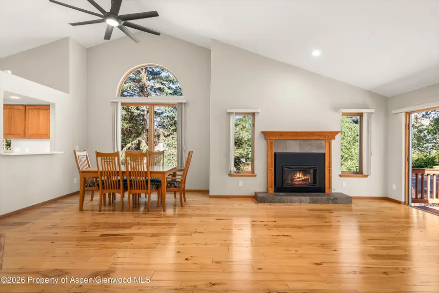 985 Lupine Circle, Basalt, CO 81621 - #3