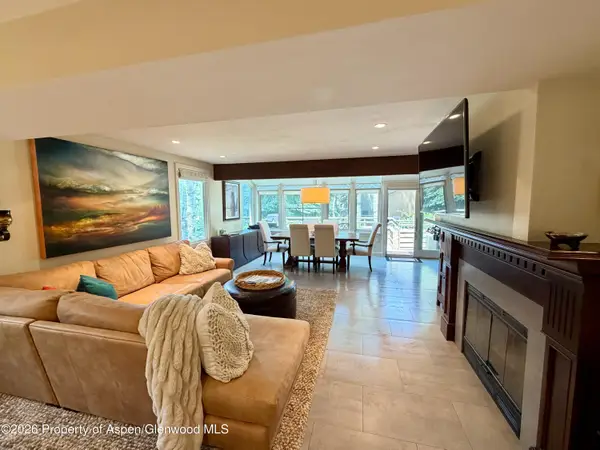 100 N 8th Street #7, Aspen, CO 81611
