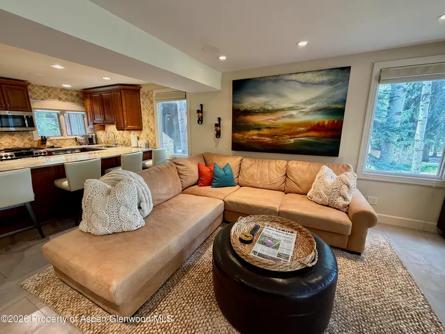 100 N 8th Street #7, Aspen, CO 81611 - #2