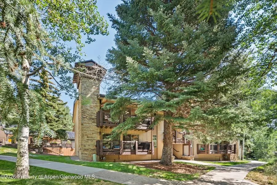 35 Upper Woodbridge Road #13cd, Snowmass Village, CO 81615 - #2