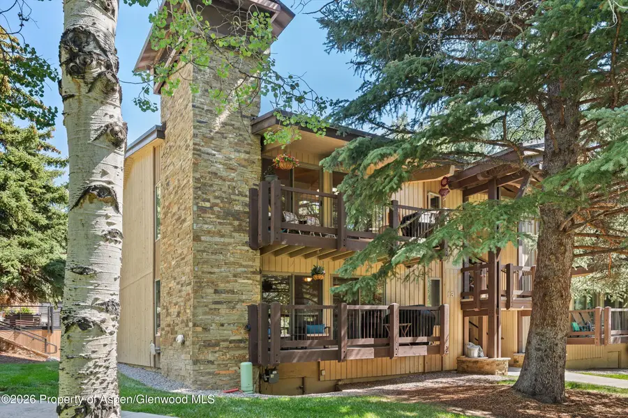 35 Upper Woodbridge Road #13cd, Snowmass Village, CO 81615 - #3