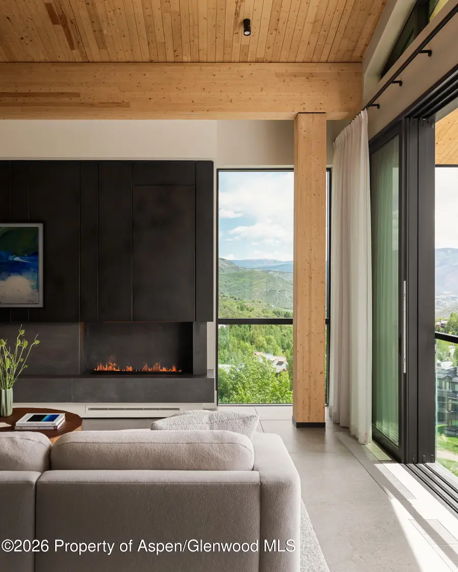 180 Wood Road #Ph501, Snowmass Village, CO 81615 - #3