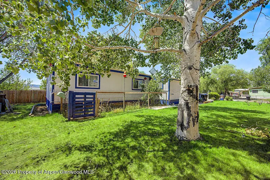 541 Conner Drive, Craig, CO 81625 - #3
