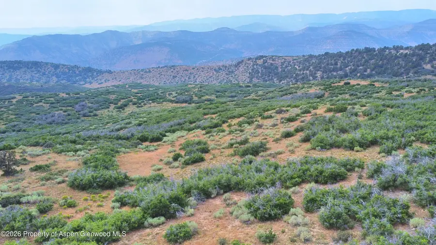 Tbd Old Spink Canyon Road, Loma, CO 81524 - #3
